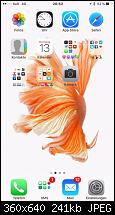 Zeigt euren iPhone 6 Plus Homescreen-imageuploadedbytapatalk1444808446.822622.jpg