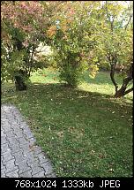 Foto- und Videoqualität des iPhone 6S und 6S Plus-imageuploadedbypocketpc.ch1445774823.096258.jpg