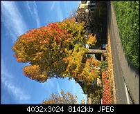 Foto- und Videoqualität des iPhone 6S und 6S Plus-img_0528-1.jpg