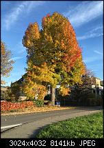 Foto- und Videoqualität des iPhone 6S und 6S Plus-img_0528-3.jpg