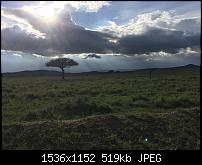 Fotoqualität des iPhone 6-imageuploadedbytapatalk1447573972.056527.jpg