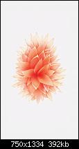 Der iPhone 6 Wallpaper Thread-quentin_ios_iphone-se-apple-wallpaper-mod.jpg