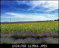 Fotoqualität des iPhone 6 Plus-imageuploadedbypocketpc.ch1463896973.009664.jpg