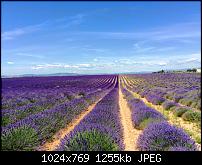 Fotoqualität des iPhone 6 Plus-imageuploadedbypocketpc.ch1463897046.400767.jpg