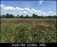 Fotoqualität des iPhone 6 Plus-imageuploadedbypocketpc.ch1464275391.809238.jpg