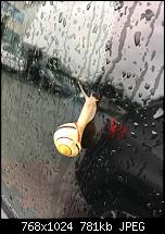 Foto- und Videoqualität des iPhone 6S und 6S Plus-imageuploadedbypocketpc.ch1465037163.279974.jpg