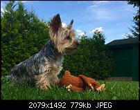 Fotoqualität des iPhone 6 Plus-image.jpeg