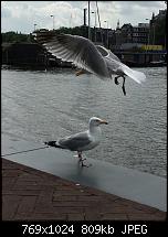 Fotoqualität des iPhone 6 Plus-imageuploadedbypocketpc.ch1468087211.599096.jpg