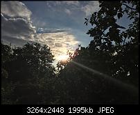 Fotoqualität des iPhone 6-img_0213.jpg