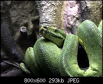 iPhone 7 (Plus) - Bildqualität-img_2115.jpg