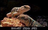 iPhone 7 (Plus) - Bildqualität-img_2121.jpg