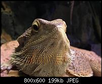 iPhone 7 (Plus) - Bildqualität-img_2125.jpg