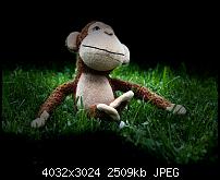 Apple iPhone X – Qualität der Fotos-img_1382.jpg