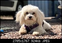 Apple iPhone X – Qualität der Fotos-img_0597.jpeg