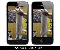 Apple Joke für die Nacht-558291_10151023511921568_1217612294_n.jpg