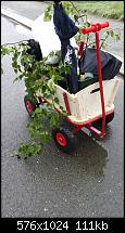 Apple User - Stammtisch [OT]-uploadfromtaptalk1401431260977.jpg