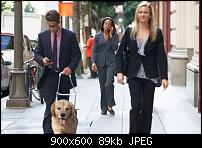 Apple Joke für die Nacht-diego.jpg