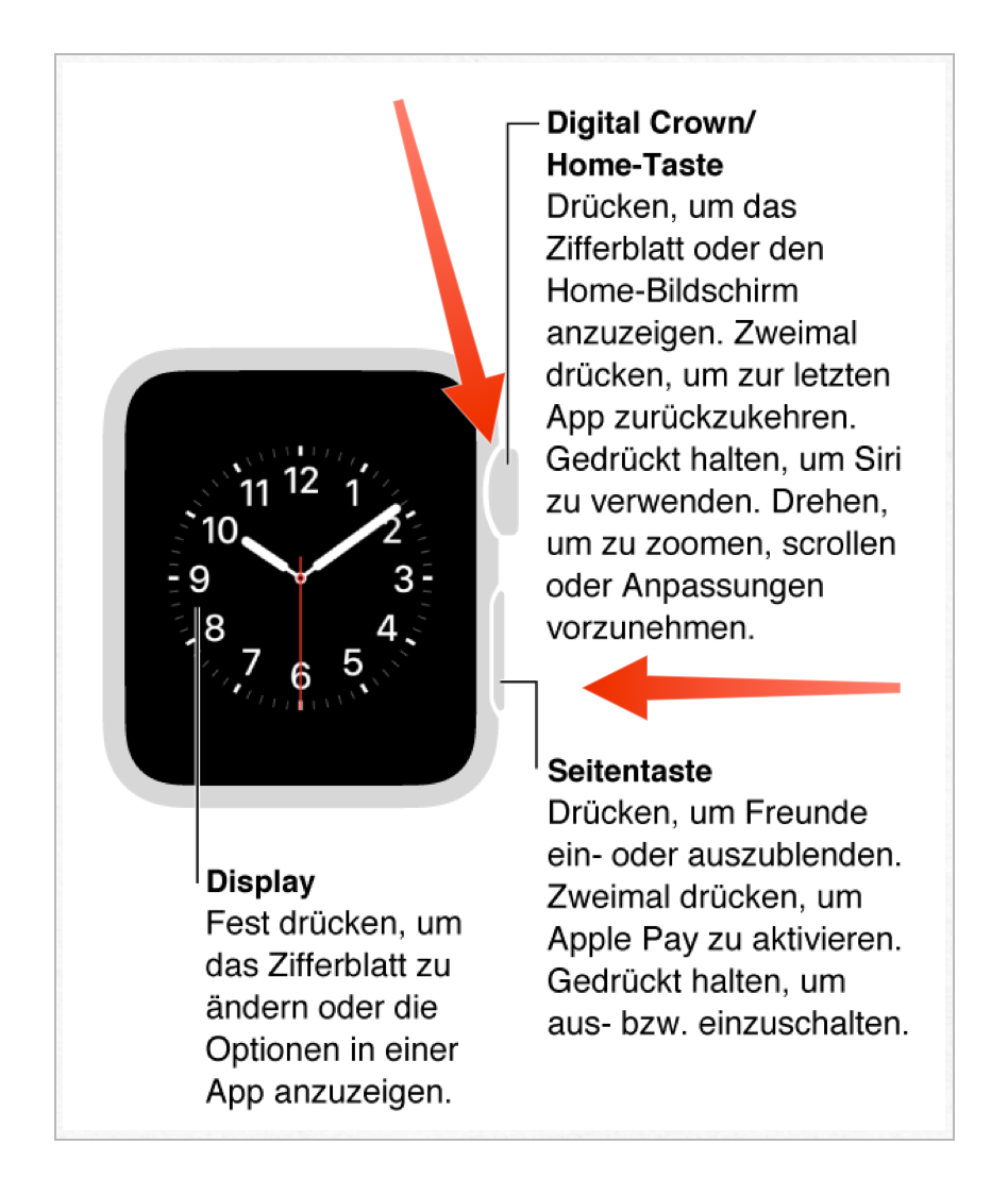 Apple watch 4 instructions shop