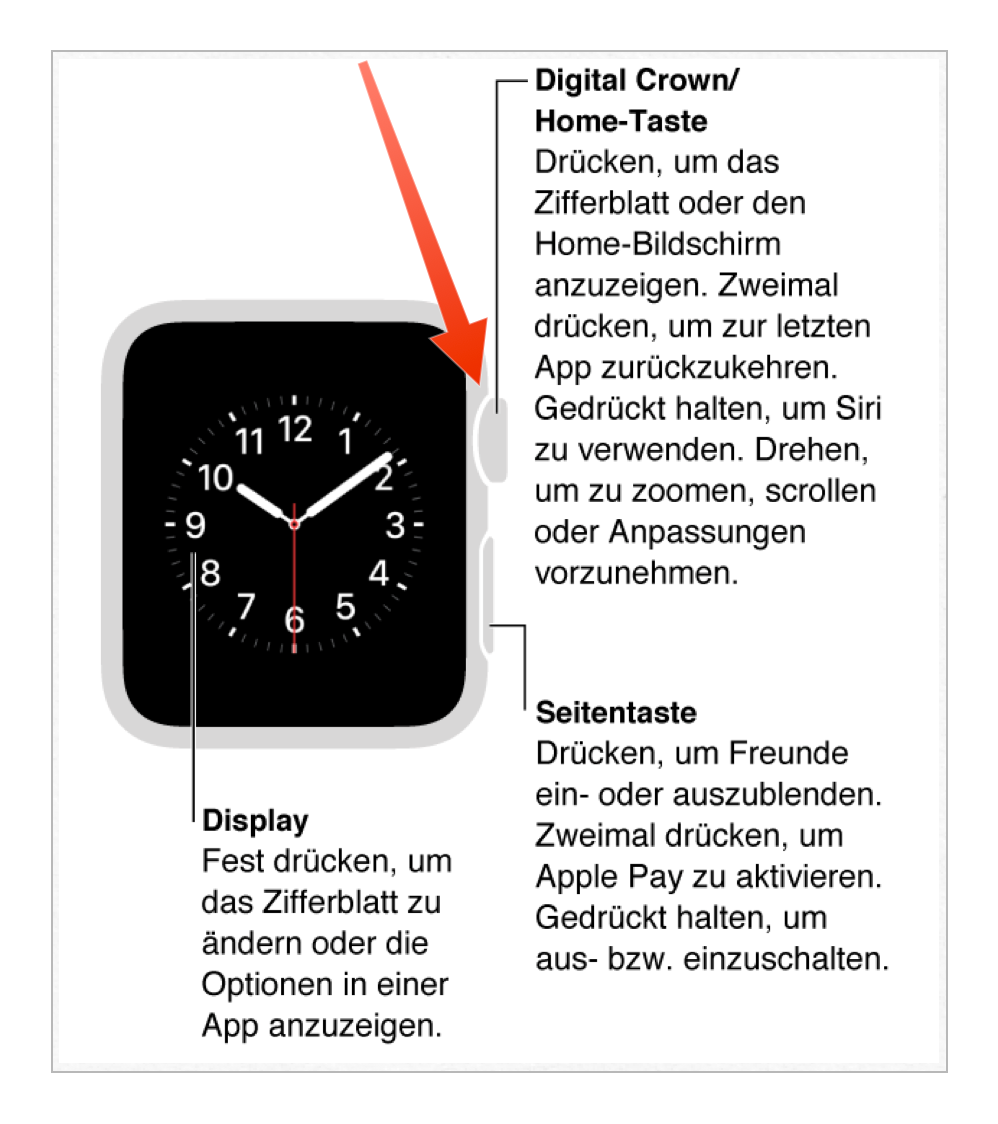 Tutorial: Was tun, wenn die Digital Crown schwergängig geht-bild-1.png