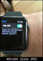WhatsApp per Siri über Apple Watch möglich?-imageuploadedbypocketpc.ch1446904091.407267.jpg