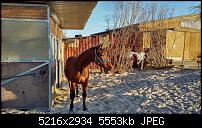 Blackberry PRIV - Fotoqualität-img_20151226_1446296.jpg