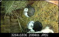 Blackberry Z10 Bilder und Videos der Kamera-img_00000004.jpg