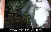 Blackberry Z10 Bilder und Videos der Kamera-img_00000006.jpg