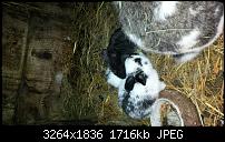 Blackberry Z10 Bilder und Videos der Kamera-img_00000007.jpg