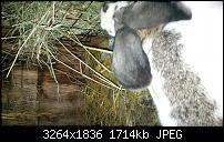 Blackberry Z10 Bilder und Videos der Kamera-img_00000008.jpg