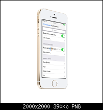 NoAnnoyance-img_2912_iphone5s_gold_side1.png