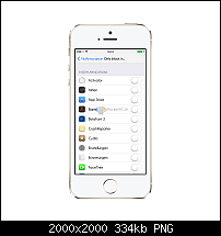 NoAnnoyance-img_2918_iphone5s_gold_portrait.png