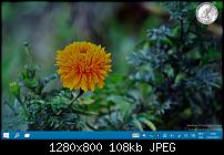 Windows 10 Consumer Preview auf dem Dell Venue 8 Pro-desktop-2.jpg