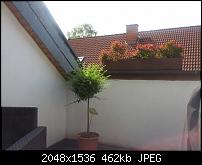 Foto- und Videoqualität des Galaxy Nexus-img_20120722_102913.jpg