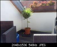 Foto- und Videoqualität des Galaxy Nexus-img_20120722_103013.jpg