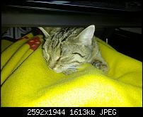 Foto- und Videoqualität des Galaxy Nexus-img_20111202_180347.jpg