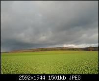 Foto- und Videoqualität des Galaxy Nexus-galaxy-nexus-3-.jpg