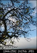 Foto- und Videoqualität des Galaxy Nexus-galaxy-nexus-2-.jpg