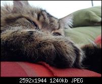 To nexus or not to nexus?-2012-03-10-14.15.27.jpg