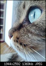 Geschossene Bilder mit dem Galaxy Nexus-2012-03-09-10.07.05.jpg