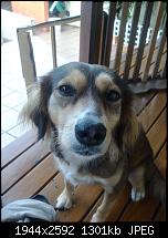 Geschossene Bilder mit dem Galaxy Nexus-2012-04-07-16.16.33.jpg