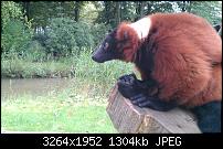 Geschossene Bilder mit dem Galaxy Nexus-img_20110920_145847.jpg