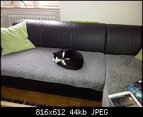 Nexus 4 Vergleich zum S2?-uploadfromtaptalk1363437748226.jpg