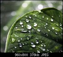 Zeig eure Hintergrundbilder-783d5e4.jpg