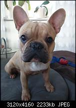 Fotoqualität des Nexus 6-img_20141228_154002.jpg