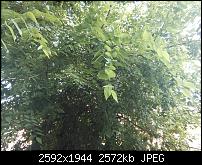 Erste Erfahrungsberichte/Eindrücke-img_20130806_171021.jpg