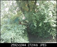 Erste Erfahrungsberichte/Eindrücke-img_20130806_171034.jpg