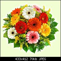 [MAGLDR][20.03.2011]TyphooN CyanogenMod 7 RC2+ v2.7.4 [2.3.3][A2SD][tytung r7]-blumenstrauss-rainbow.jpg