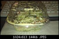 [SDB][BUILD][04.12.10]-=MDJ FroYo HD v.4.3=-[kernel:MDJ S7.5HD]-imag0012_small.jpg
