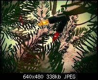 HTC 7 Mozart Kamera - Eure Bilder hier rein-2.jpg