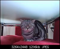 HTC 7 Mozart Kamera - Eure Bilder hier rein-wp_000037.jpg